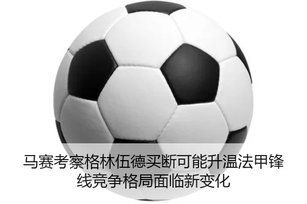 img_1783165812960_868_1_393.jpg